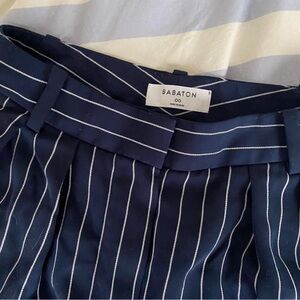 Aritzia Babaton Modesto Pinstripe Pants